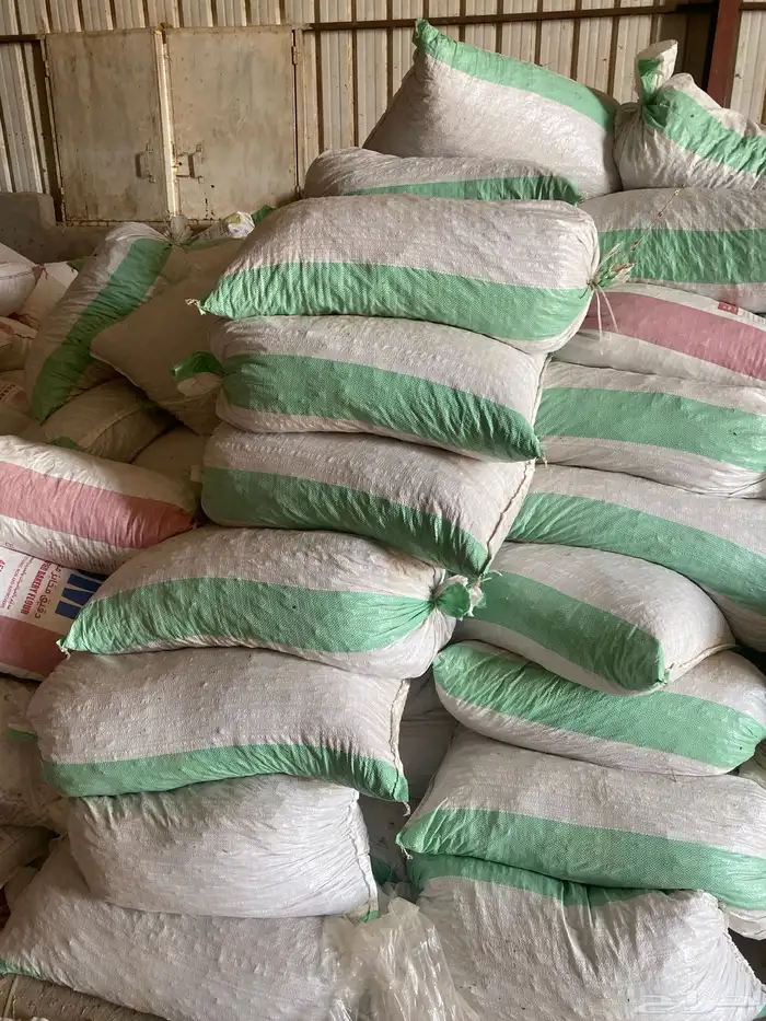 علف تمور تمر علف 3