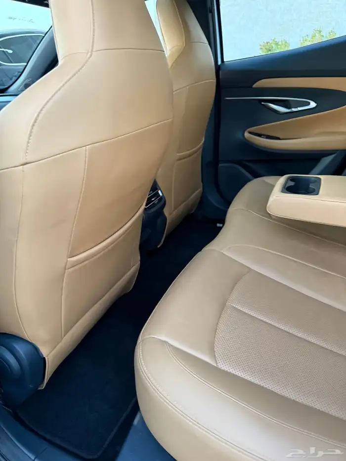 شانجان قمة في النظافة 7