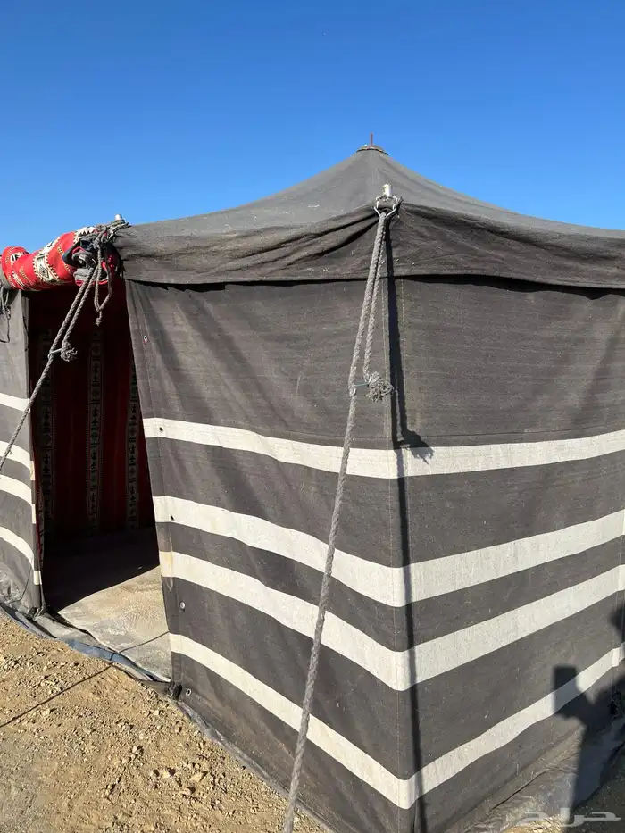 بيت شعر جديد 5