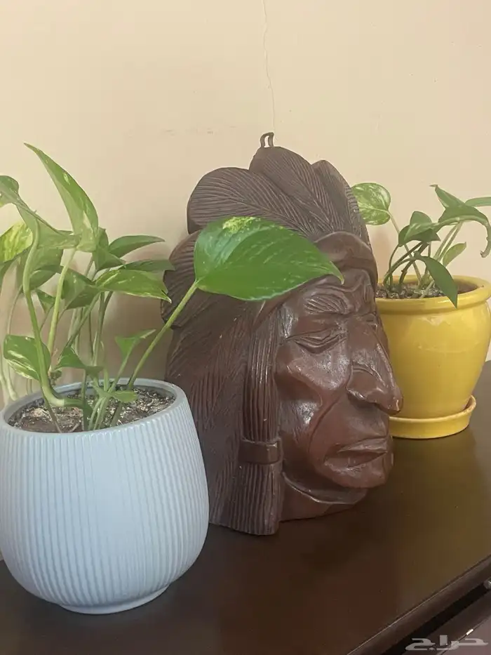 A wooden craved head راس خشبي منحوت 14