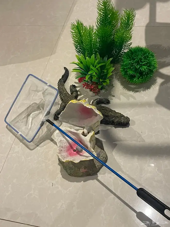 حوض سمك و جميع اغراضه 4