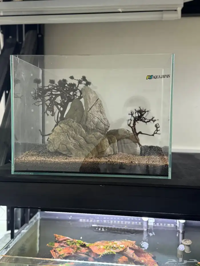احواض سمك aquarium مزروعة  ونباتات مائية   تصاميم إحترافية 5