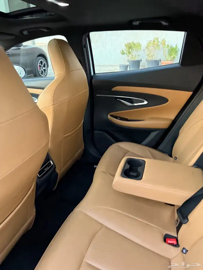 شانجان قمة في النظافة 10