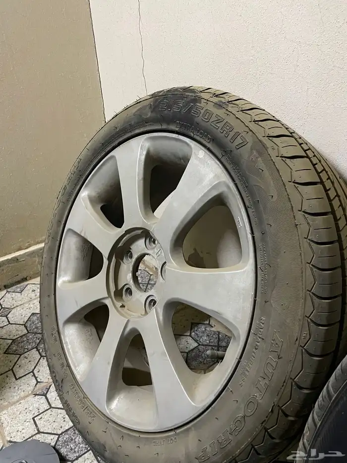 جنوط انترا 3