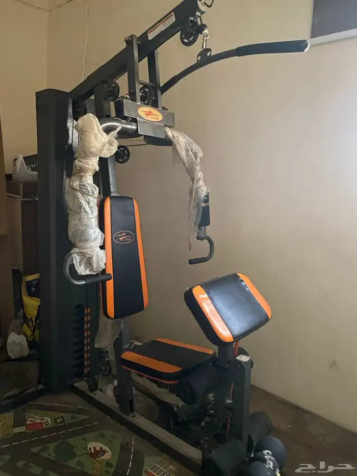 توجد العضل وكرسي الضهر 0