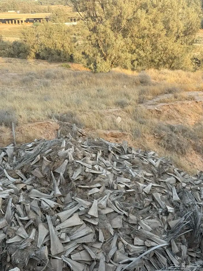 كرب نخل ناشف وجاهز للبيع 1