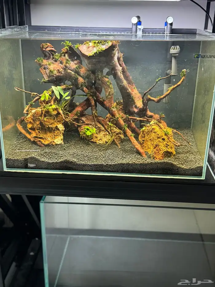 احواض سمك aquarium مزروعة  ونباتات مائية   تصاميم إحترافية 4