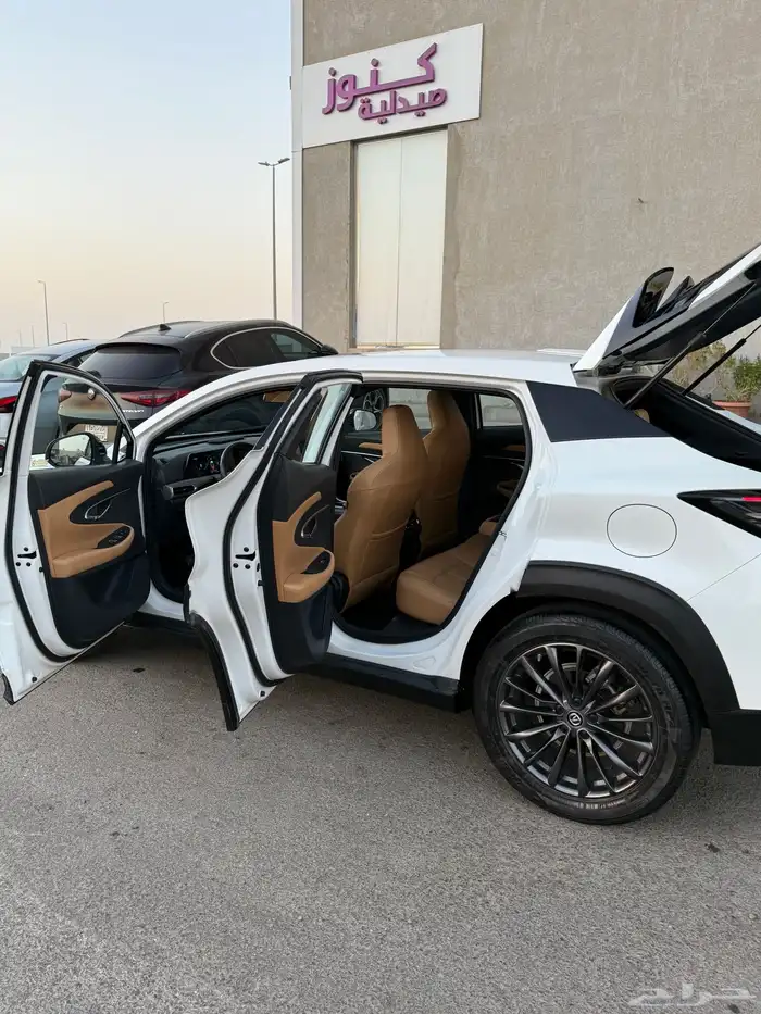 شانجان قمة في النظافة 17