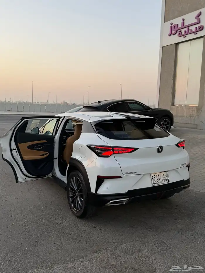 شانجان قمة في النظافة 20