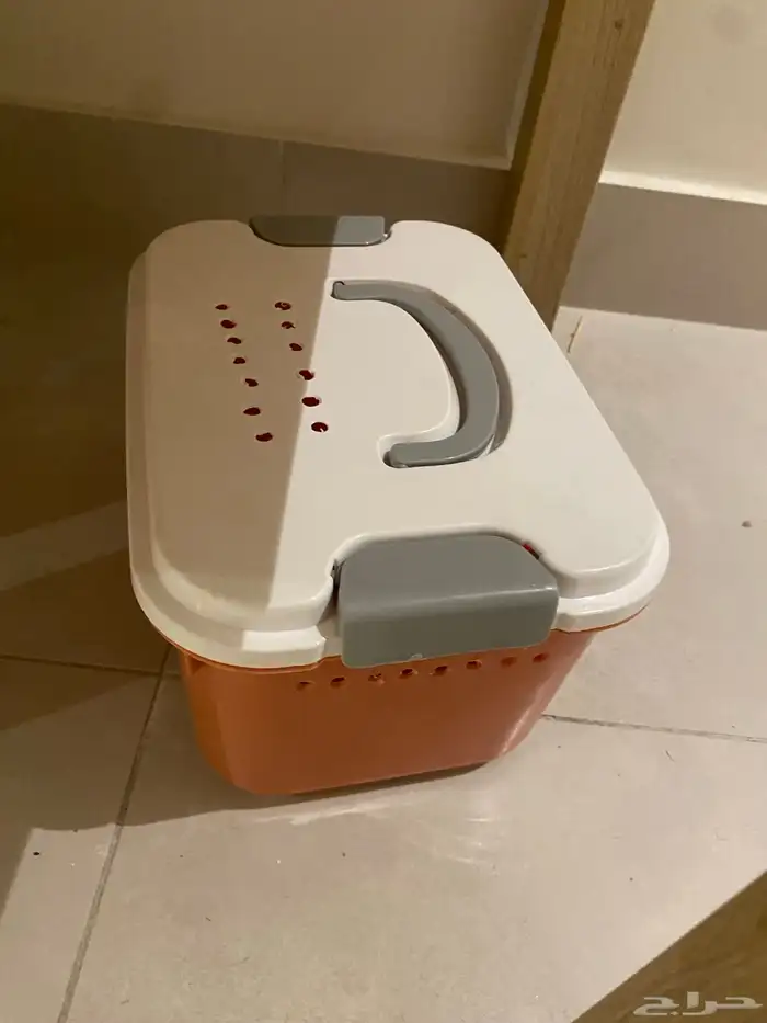 بول بايثون للبيع 3