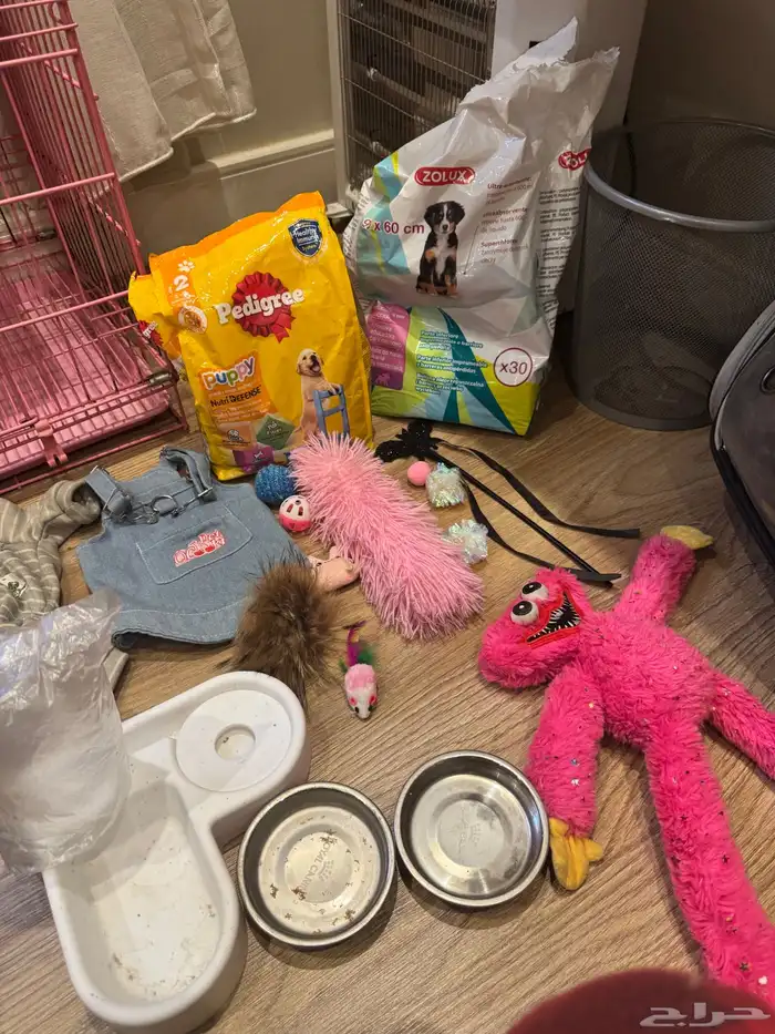 اغراض ومستلزمات كلاب 2