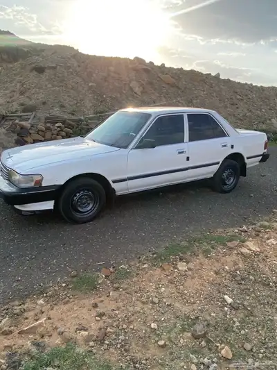 كراسيدا index