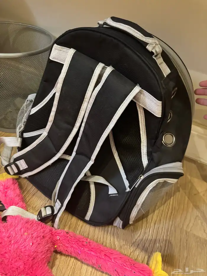 اغراض ومستلزمات كلاب 3