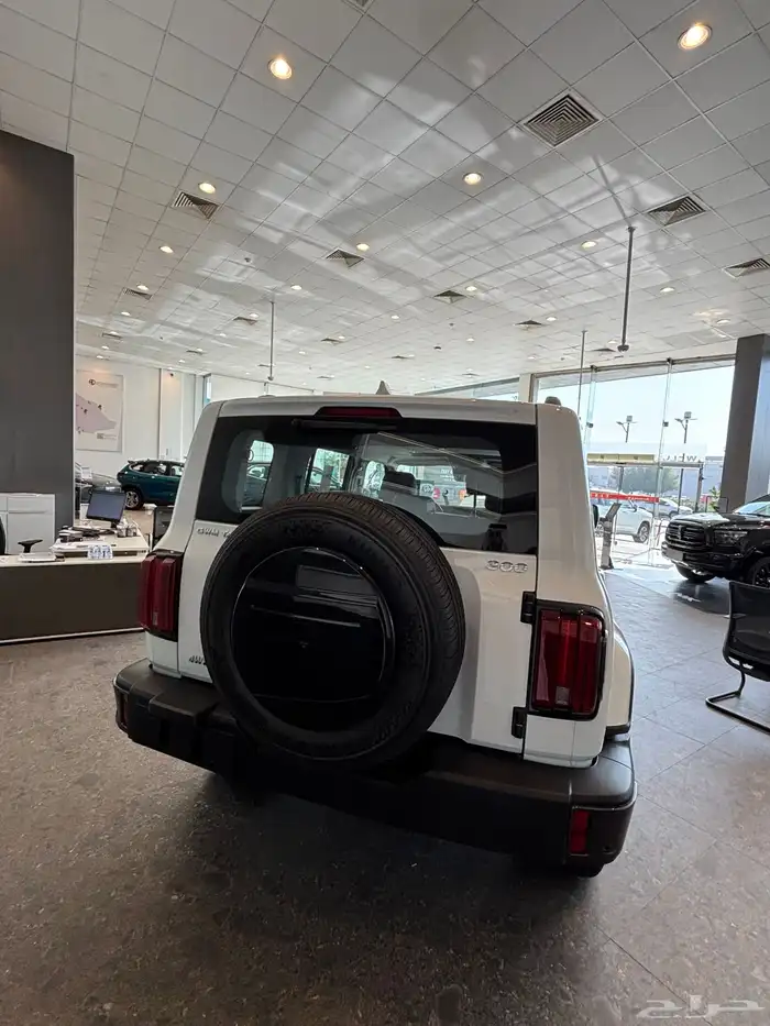 تانك 300 موديل 2026 الفيس الجديد 6