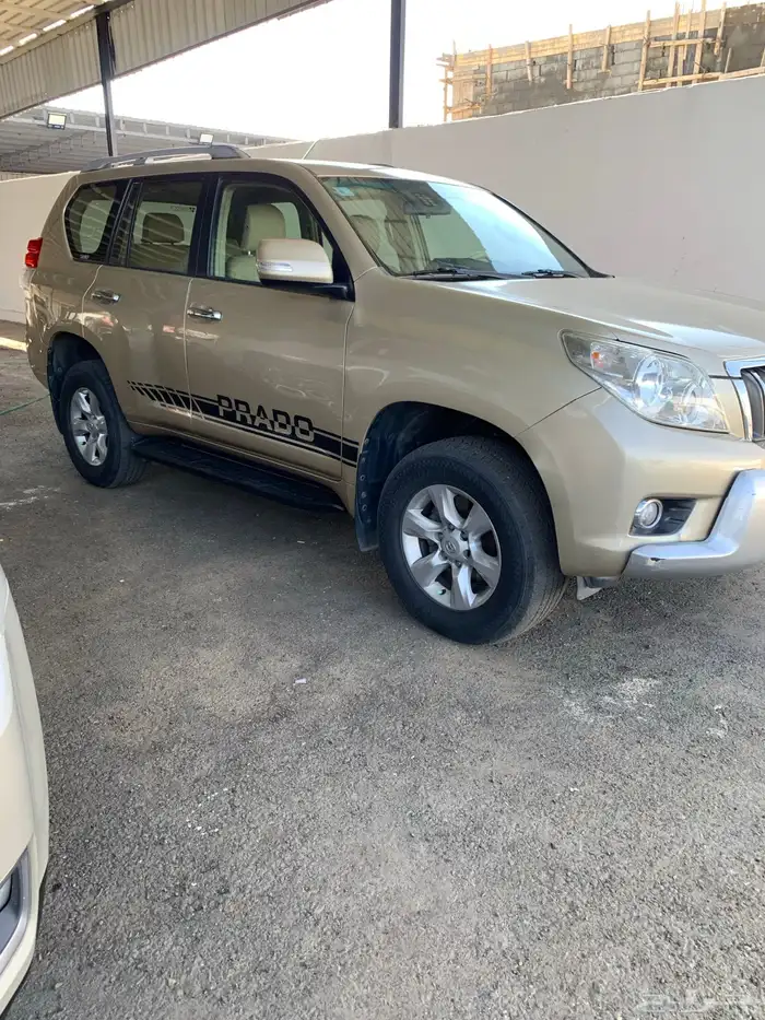 بردو موديل 2013 1