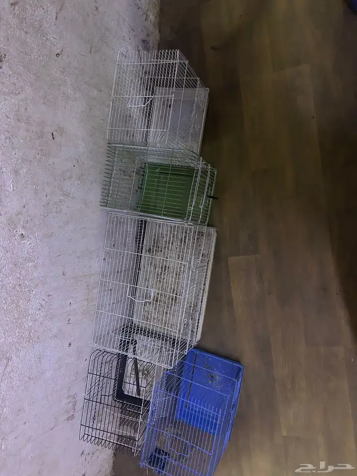 سلام عليكم قفص البادجي 3