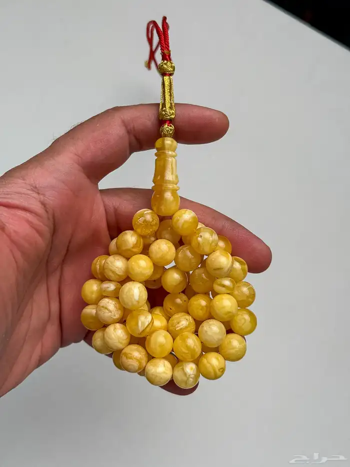 كهرمان تشخيط بتشجير قديم 0