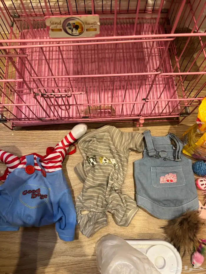 اغراض ومستلزمات كلاب 1