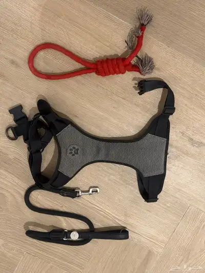 كلب روت ويلر العمر 4 شهور الحجم كبير index