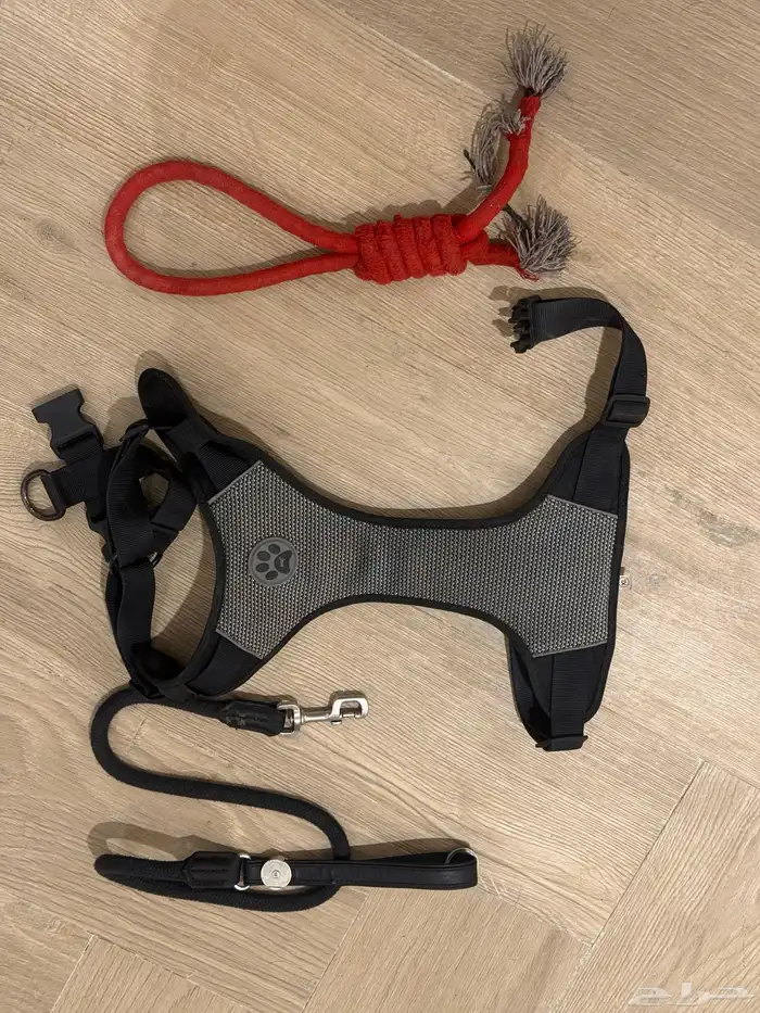 كلب روت ويلر العمر 4 شهور الحجم كبير 6