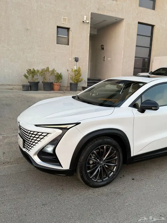 شانجان قمة في النظافة 1