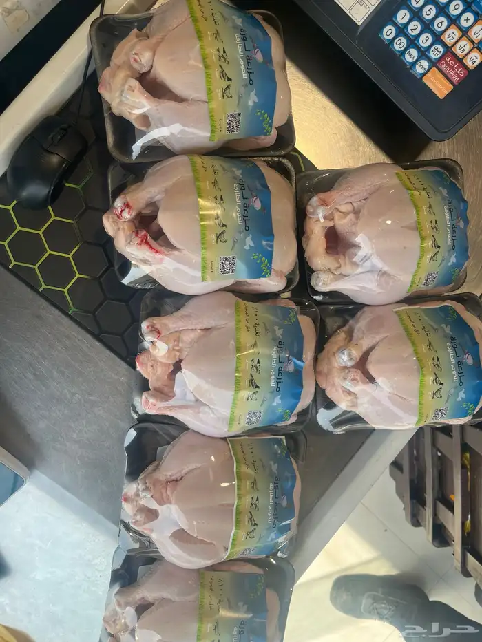 مقطع وجاهز 6