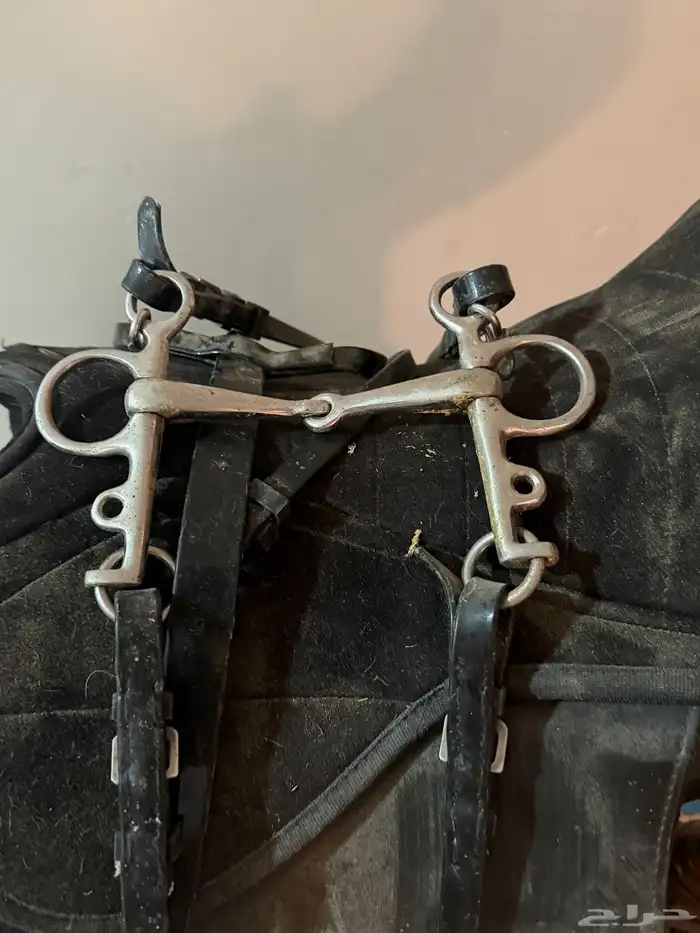 سرج استخدام قليل 1