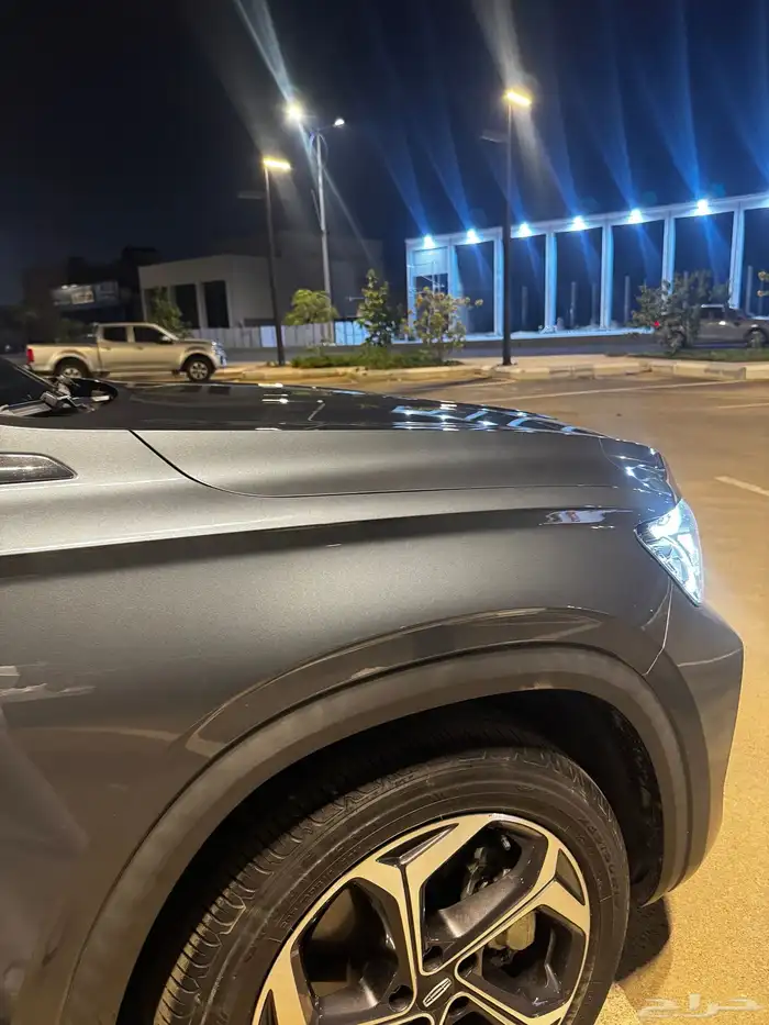 جيلي مونجارو بحالة الوكالة 16