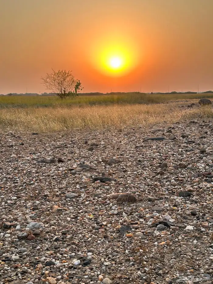 خبراء النيازك.. أفيدونا 8