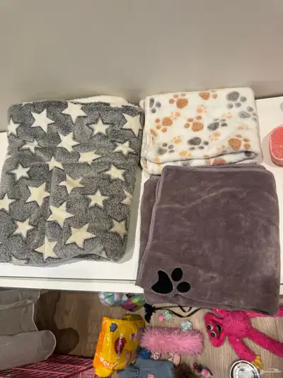 اغراض ومستلزمات كلاب index