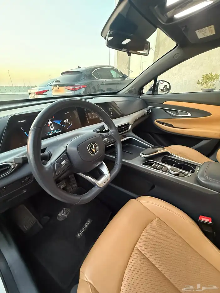 شانجان قمة في النظافة 4