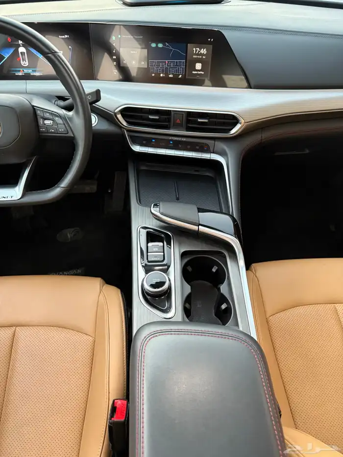 شانجان قمة في النظافة 14