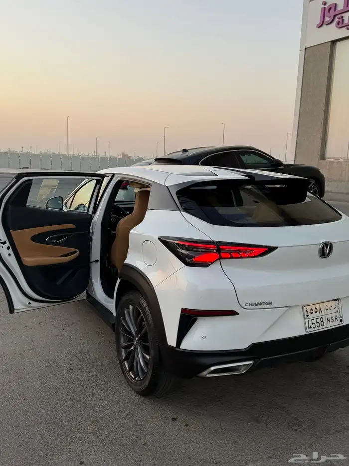 شانجان قمة في النظافة 19