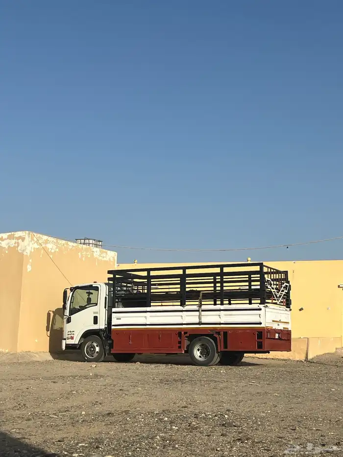 دينة ايسوزو 1