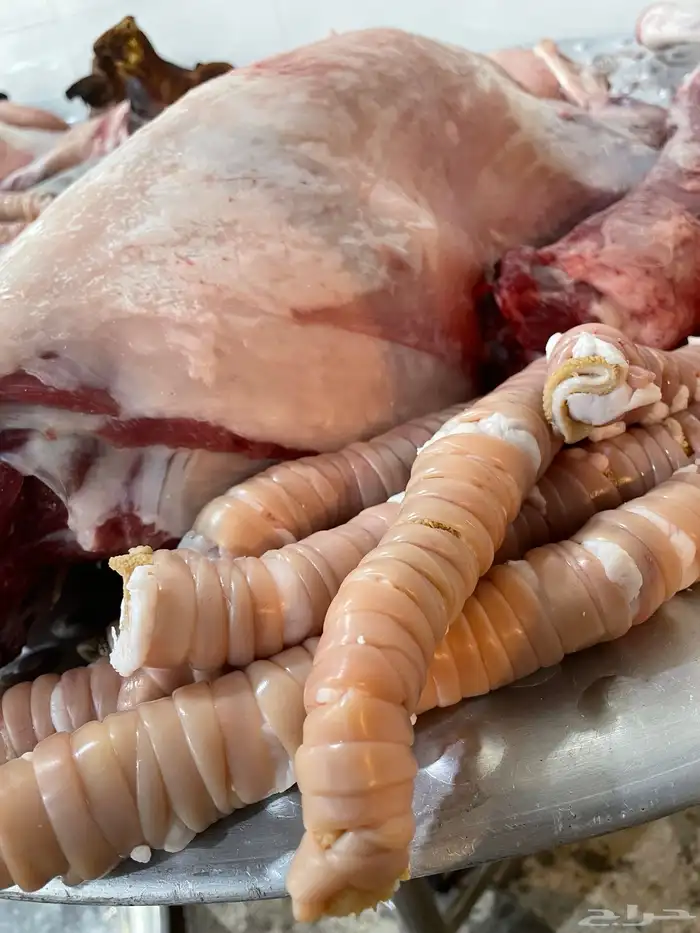 طبخ حنيذ ولائم 17