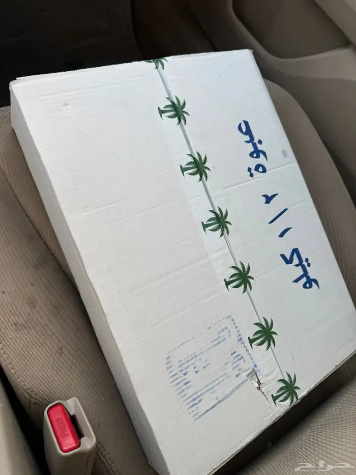 تمر صفري جامبو حبه كبير طعيم 1