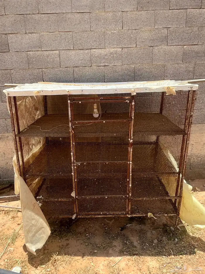 شبك طيور زينه والا حضانه 0