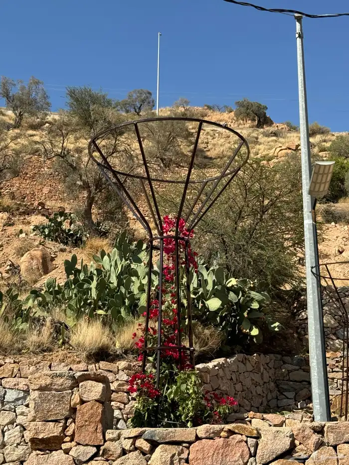 ستاند اشجار المتسلقه 2