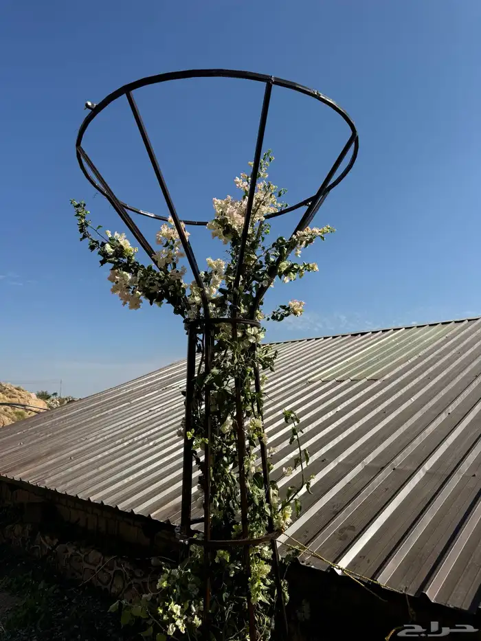 ستاند اشجار المتسلقه 0