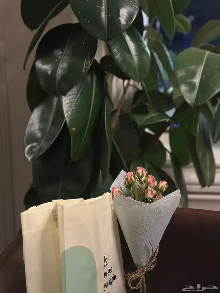 مق هاف مليون ( الوردي توفر من جديد اخر دفعة ) مع كرت اهداء 1