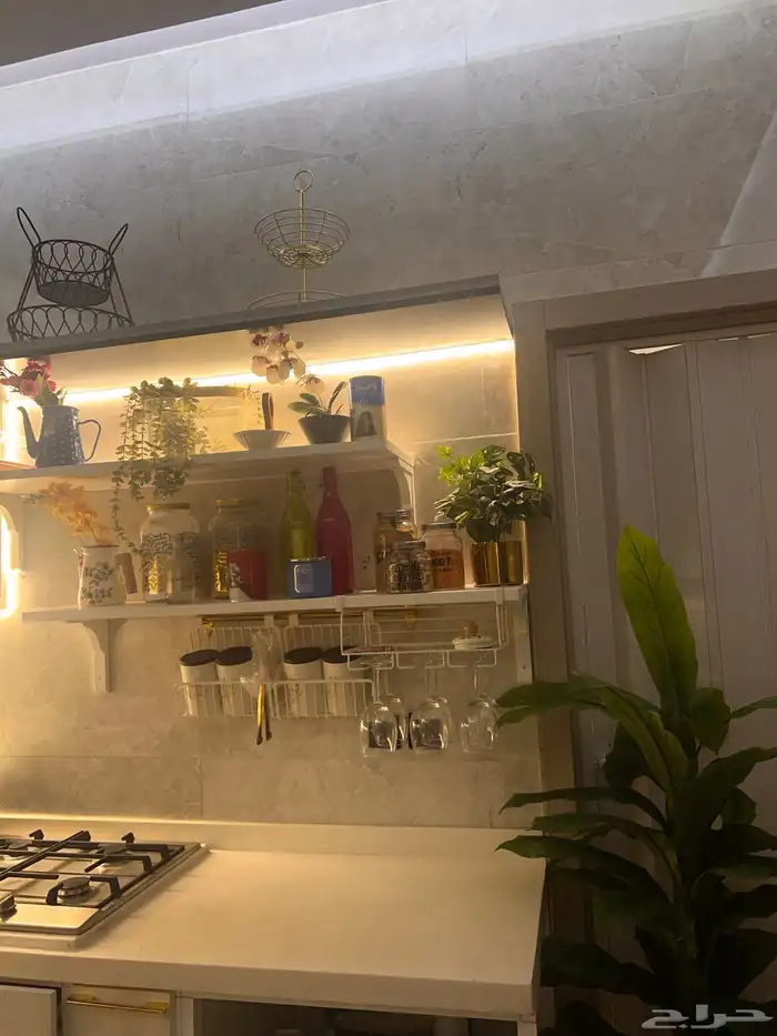 اي ج ا ر ش ق ه حي المروه عوايل او موظفات 11