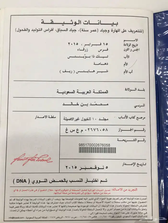 فرس زرقاء للبيع 7