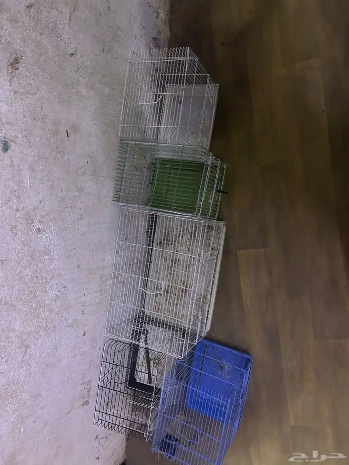 سلام عليكم قفص البادجي 2