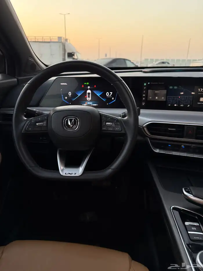 شانجان قمة في النظافة 13