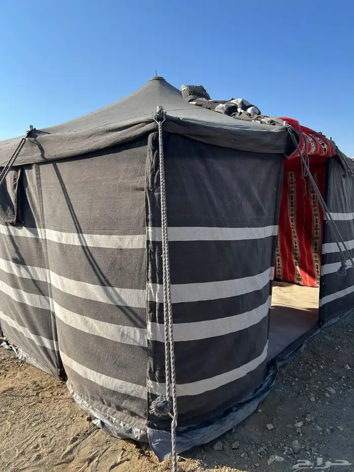 بيت شعر جديد 4