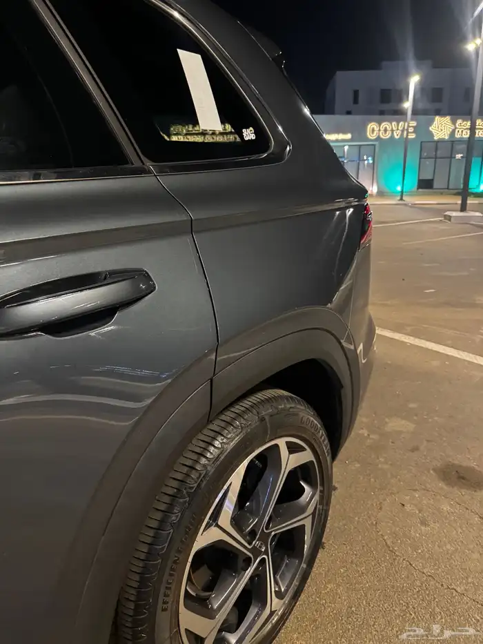 جيلي مونجارو بحالة الوكالة 8