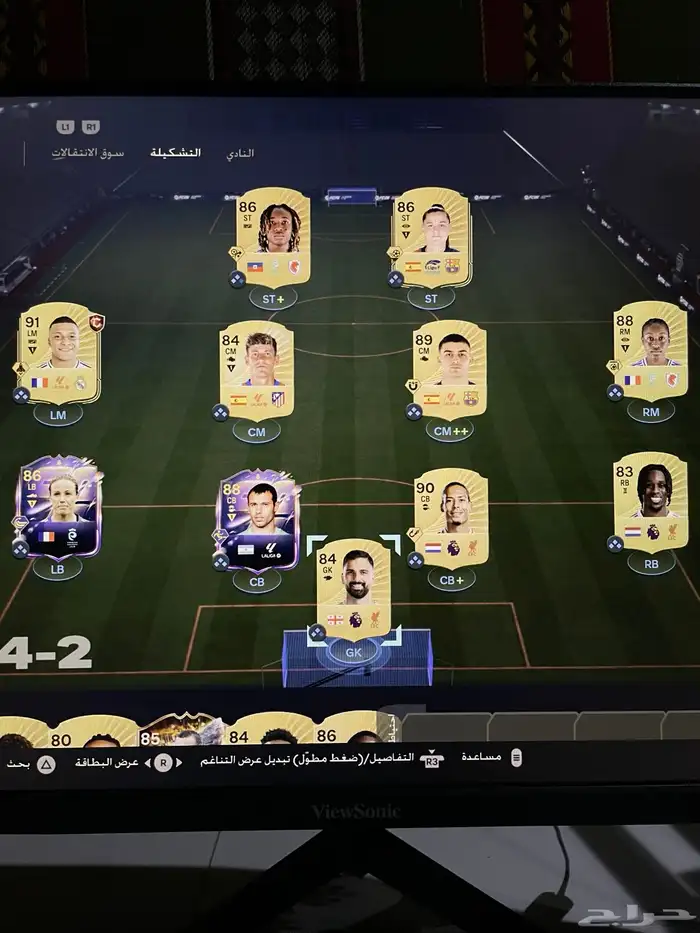 تشيلة فيفا 0