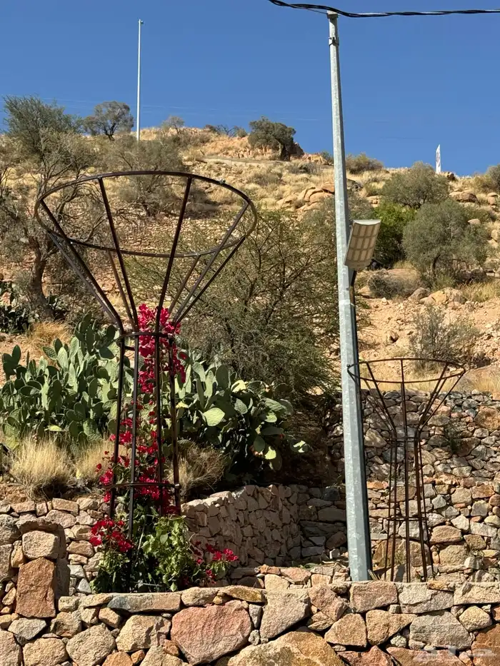 ستاند اشجار المتسلقه 1