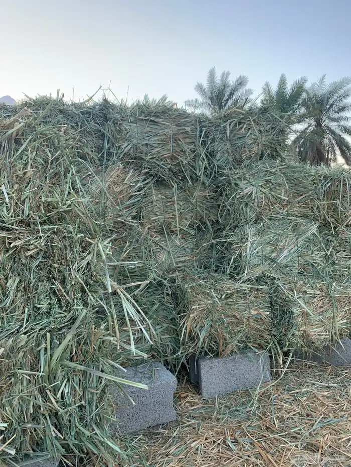 علف بونيكام 0