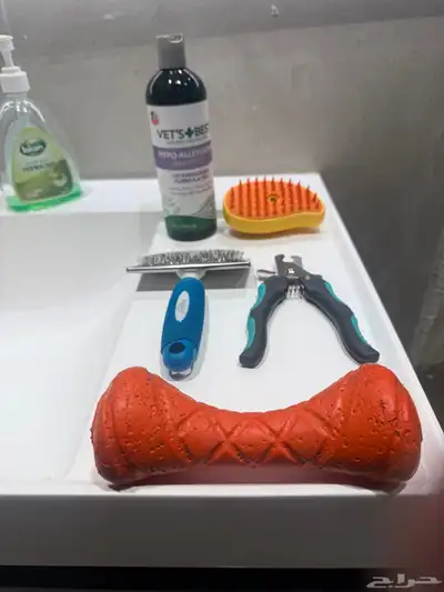 كلب روت ويلر العمر 4 شهور الحجم كبير index